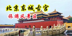 啊啊啊啊啊啊操我用力操死我吧好爽在线观看中国北京-东城古宫旅游风景区